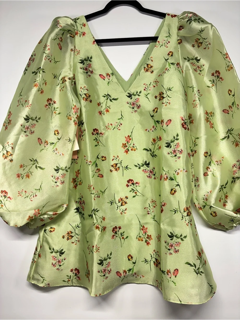 ✨BHLDN Samantha Long-Sleeve Organza Mini Dress Size L